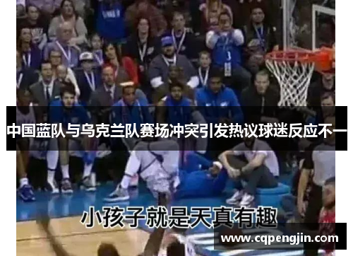 中国蓝队与乌克兰队赛场冲突引发热议球迷反应不一